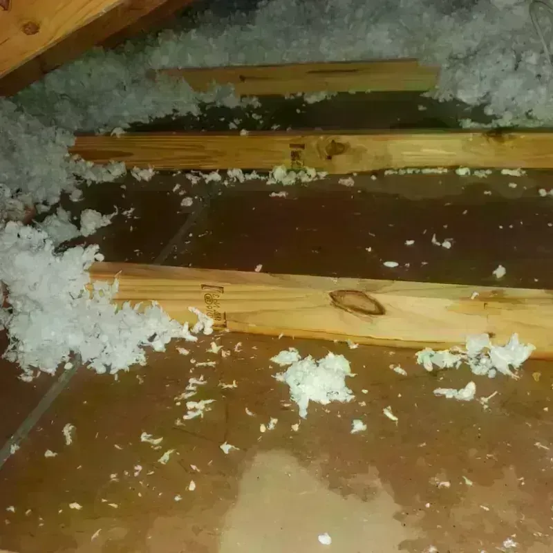 Attic Water Damage in Port Jefferson Station, NY